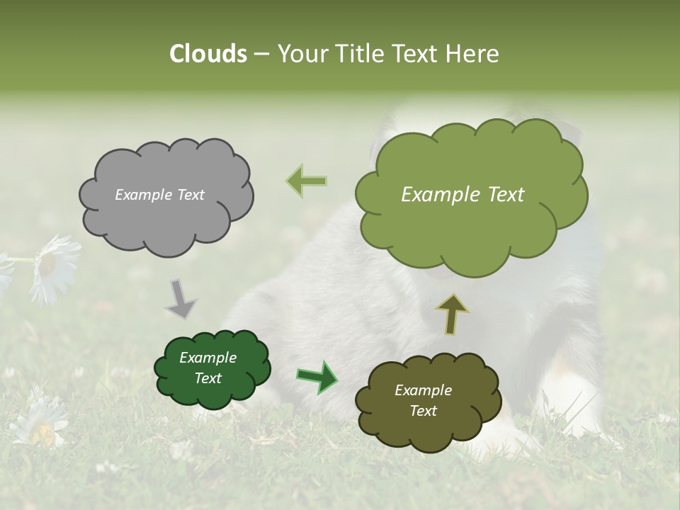 Hunde Hundewelpe Niedlich PowerPoint Template