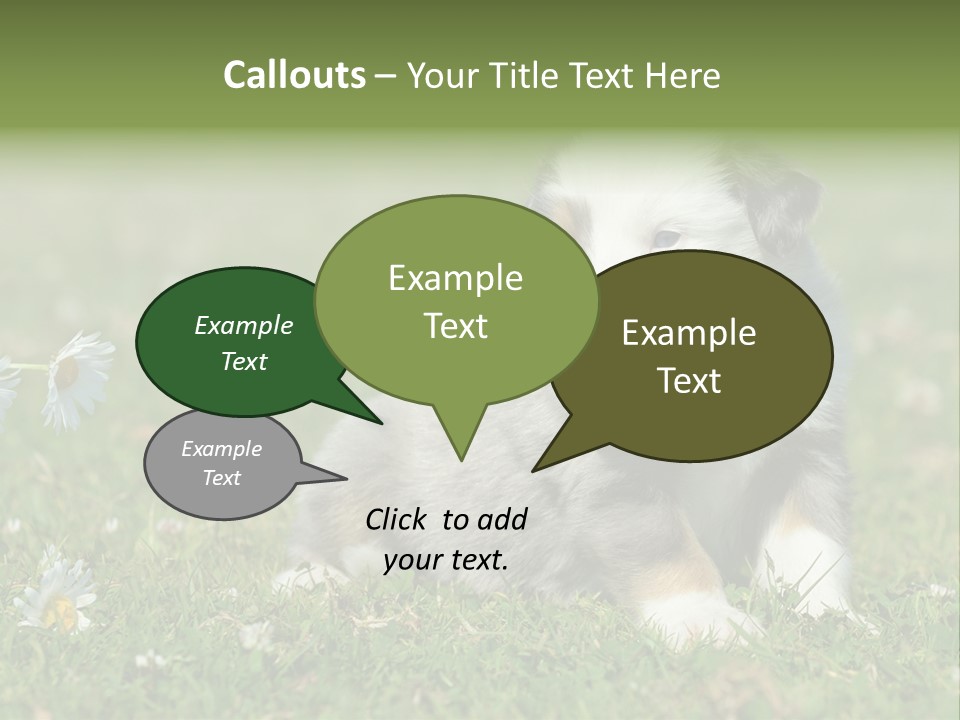 Hunde Hundewelpe Niedlich PowerPoint Template