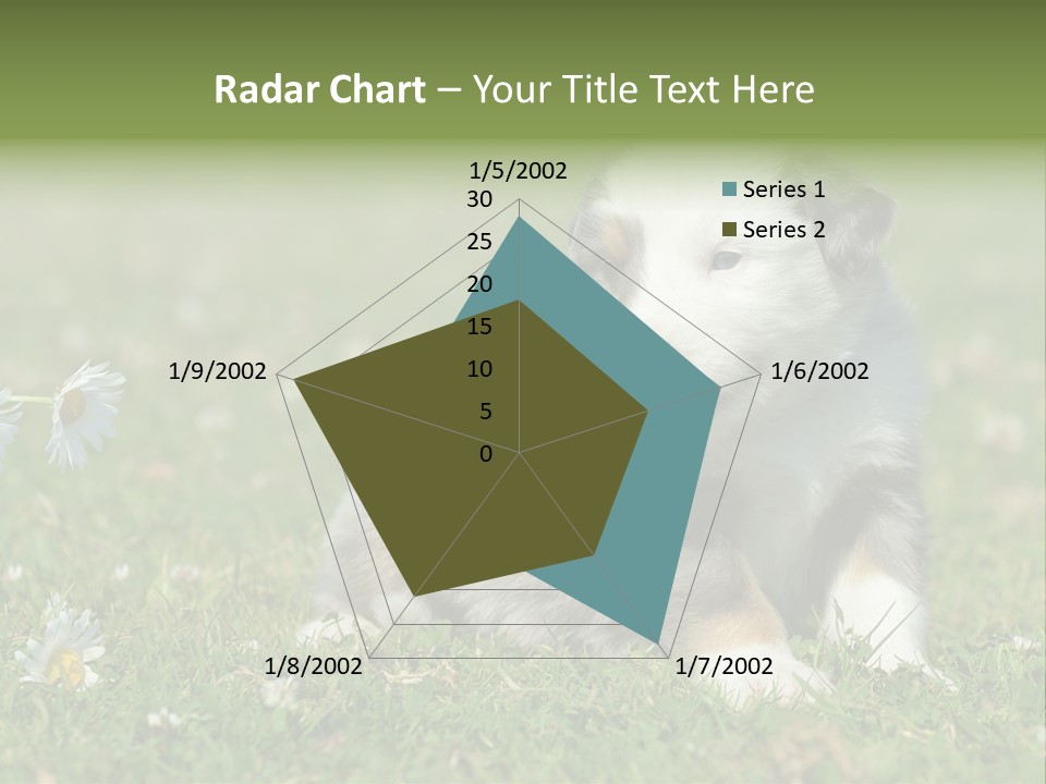 Hunde Hundewelpe Niedlich PowerPoint Template