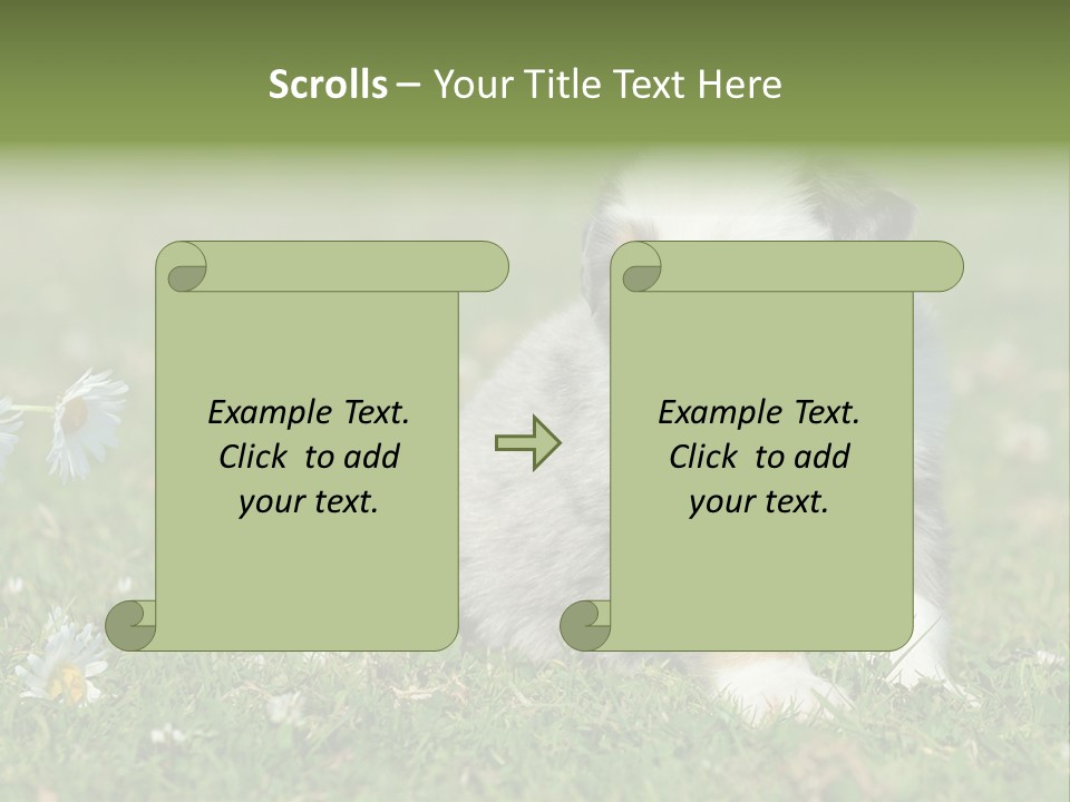Hunde Hundewelpe Niedlich PowerPoint Template