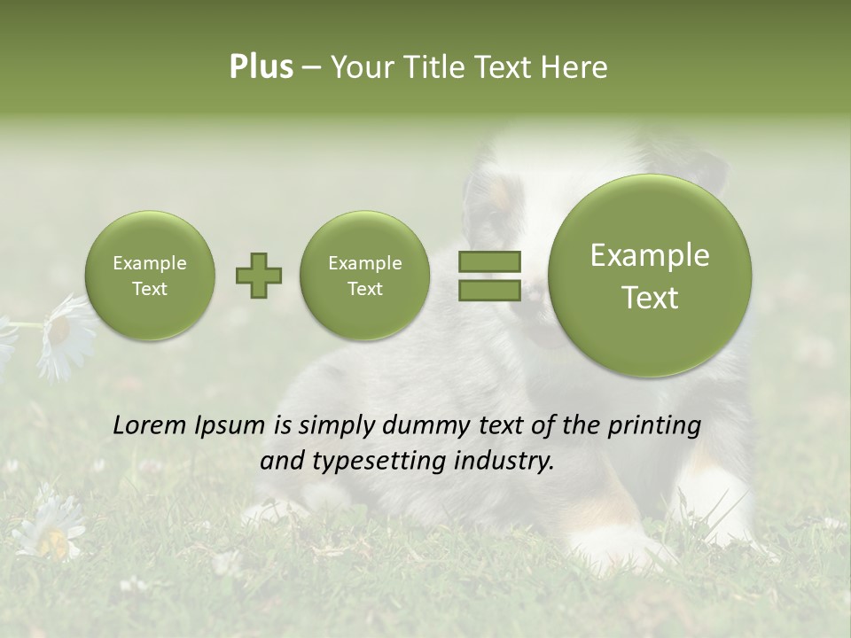 Hunde Hundewelpe Niedlich PowerPoint Template