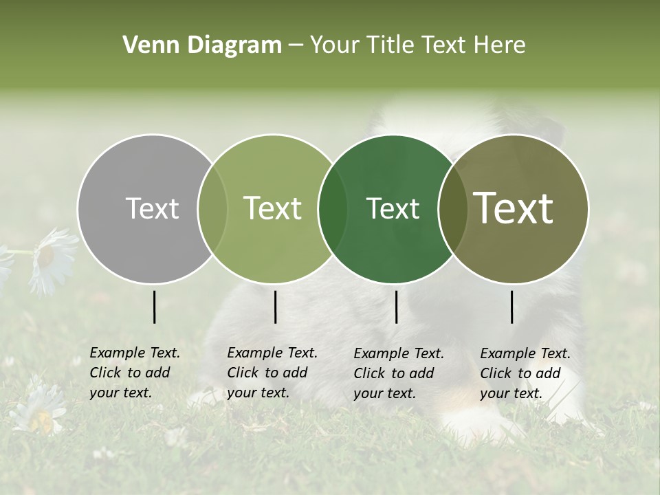 Hunde Hundewelpe Niedlich PowerPoint Template