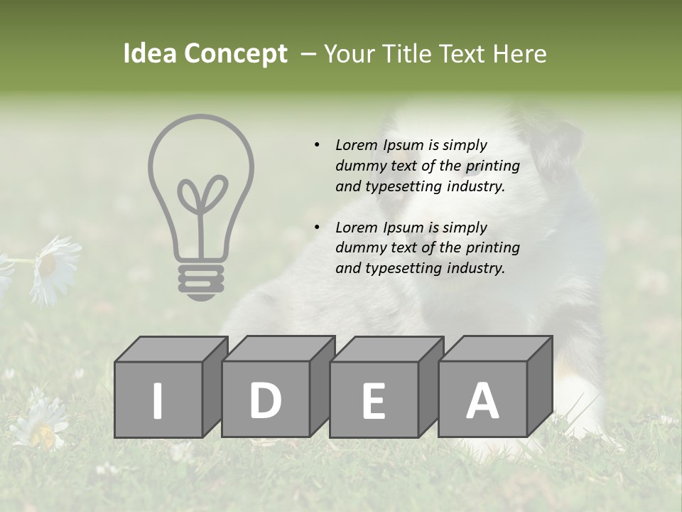Hunde Hundewelpe Niedlich PowerPoint Template
