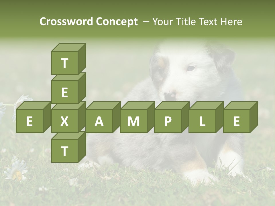 Hunde Hundewelpe Niedlich PowerPoint Template