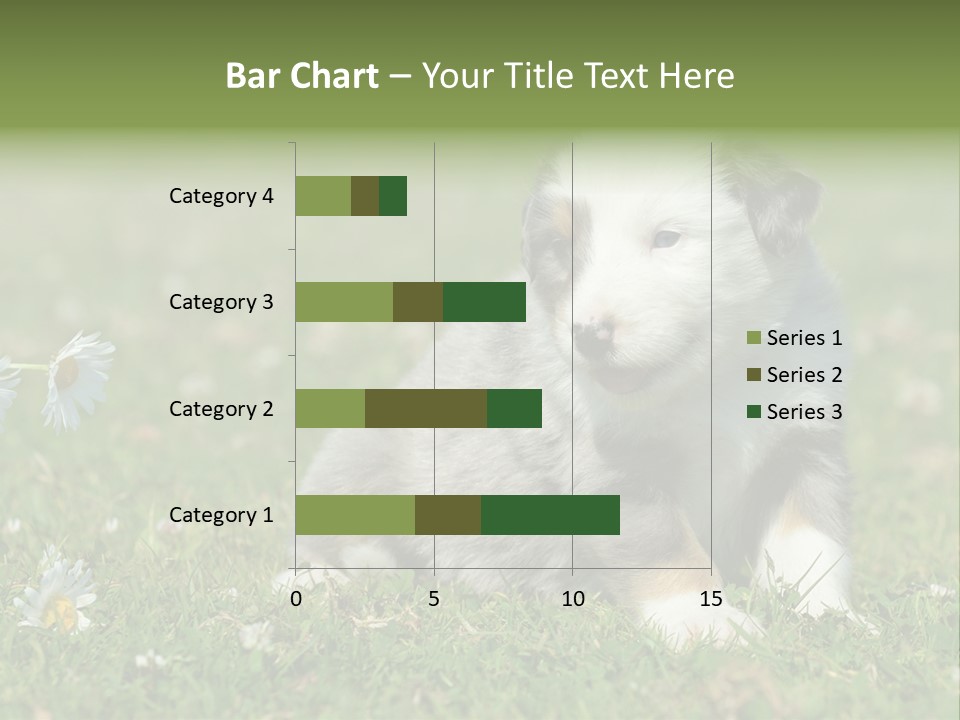 Hunde Hundewelpe Niedlich PowerPoint Template