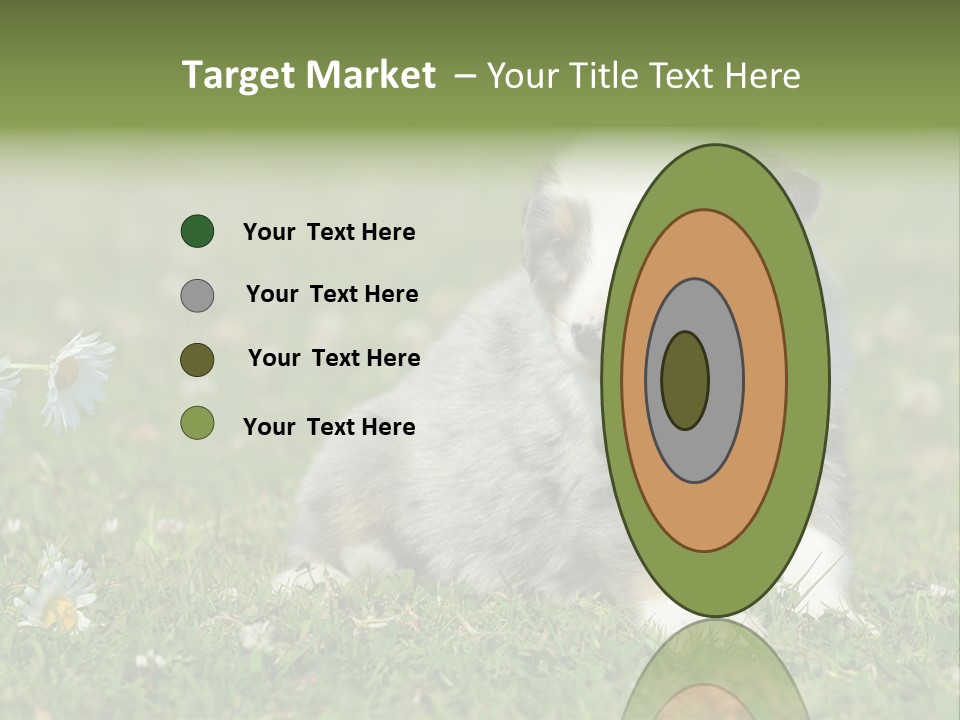 Hunde Hundewelpe Niedlich PowerPoint Template