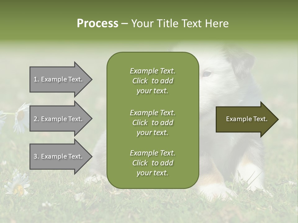 Hunde Hundewelpe Niedlich PowerPoint Template