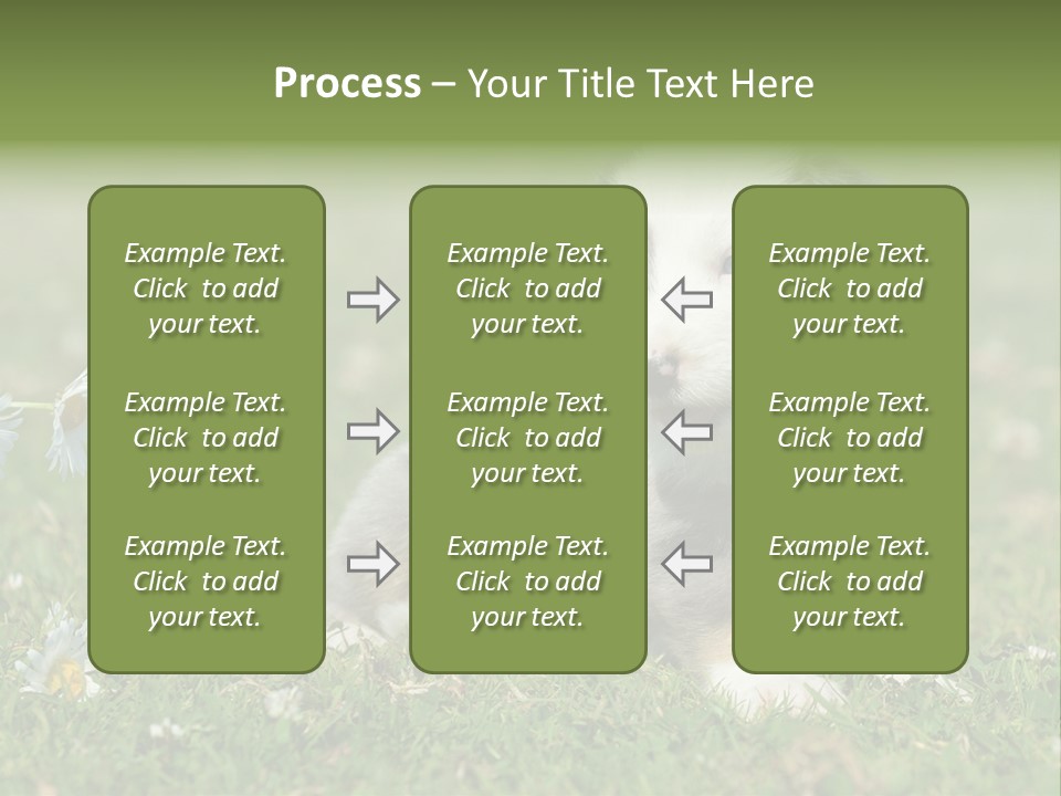 Hunde Hundewelpe Niedlich PowerPoint Template