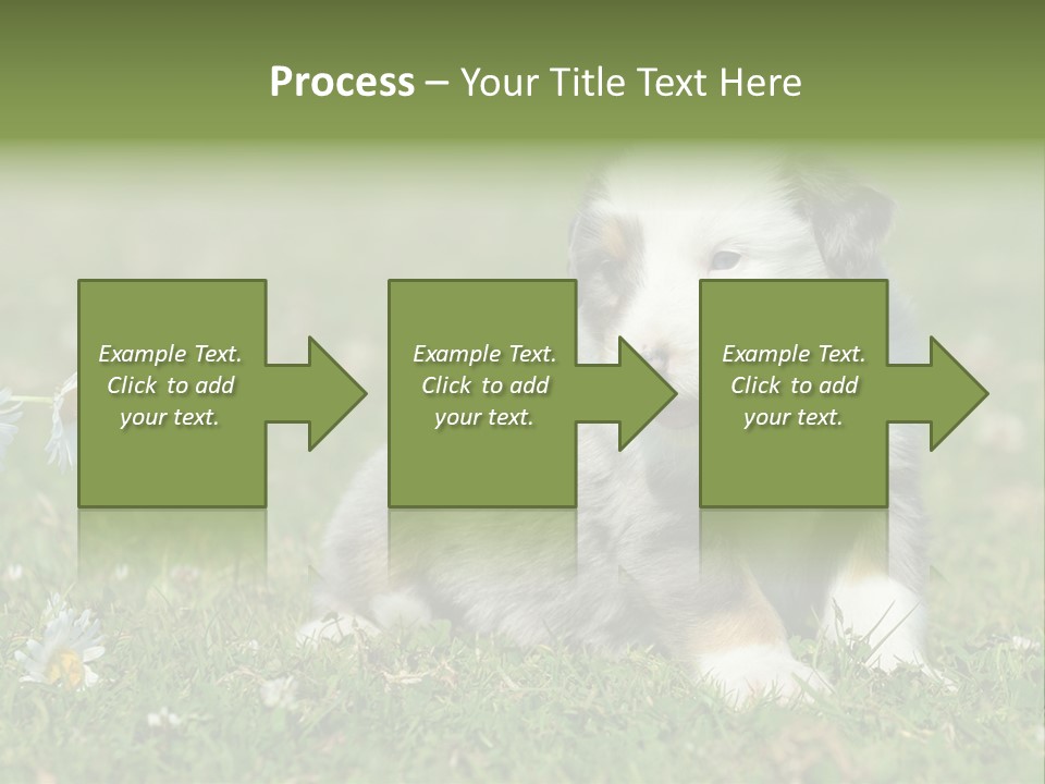 Hunde Hundewelpe Niedlich PowerPoint Template