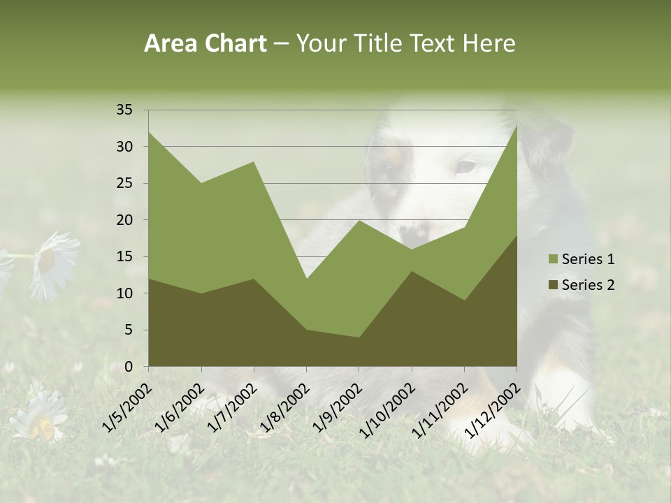 Hunde Hundewelpe Niedlich PowerPoint Template