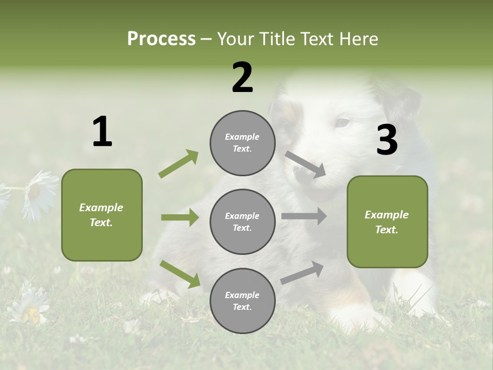 Hunde Hundewelpe Niedlich PowerPoint Template