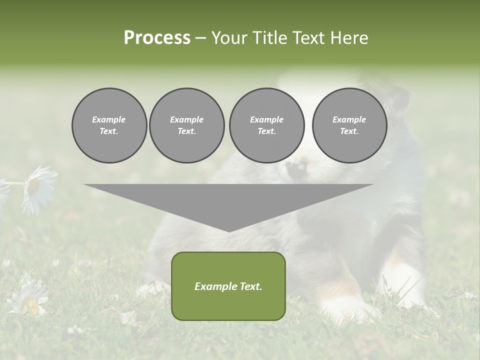 Hunde Hundewelpe Niedlich PowerPoint Template