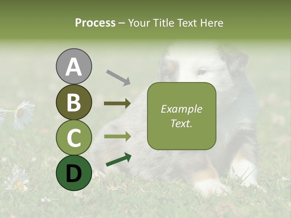 Hunde Hundewelpe Niedlich PowerPoint Template