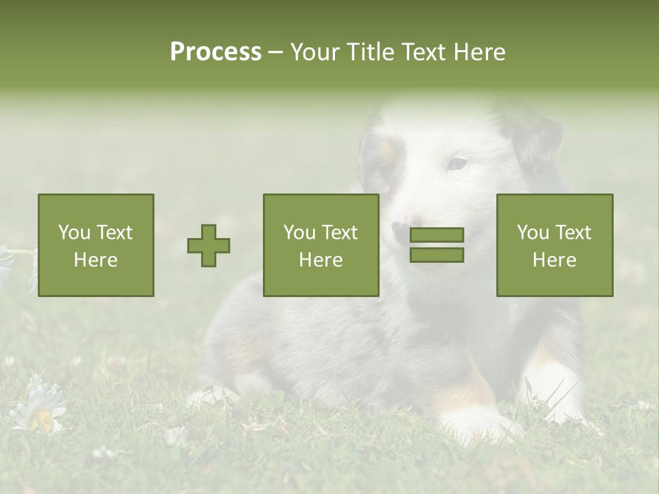 Hunde Hundewelpe Niedlich PowerPoint Template