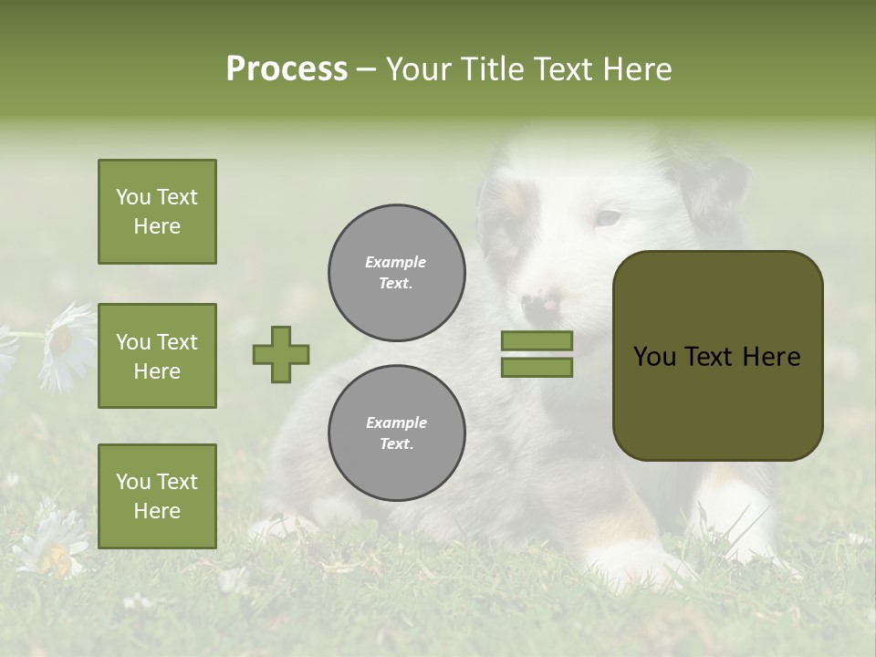 Hunde Hundewelpe Niedlich PowerPoint Template