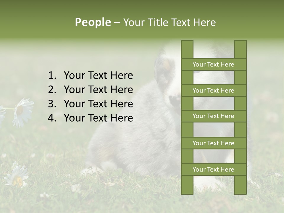 Hunde Hundewelpe Niedlich PowerPoint Template
