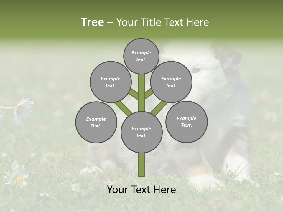 Hunde Hundewelpe Niedlich PowerPoint Template
