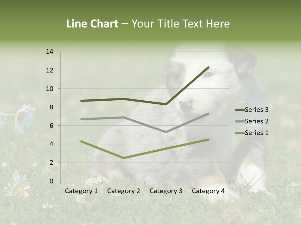 Hunde Hundewelpe Niedlich PowerPoint Template