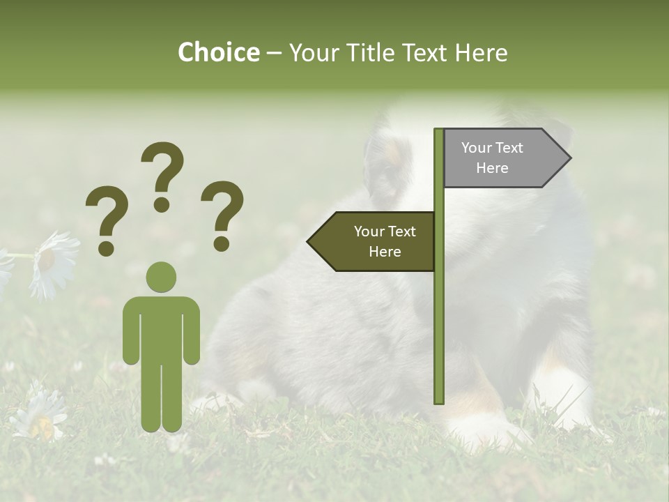 Hunde Hundewelpe Niedlich PowerPoint Template