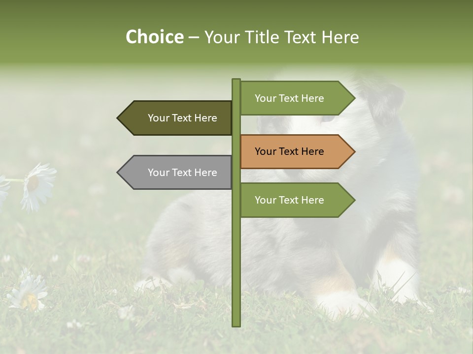 Hunde Hundewelpe Niedlich PowerPoint Template