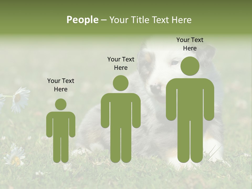 Hunde Hundewelpe Niedlich PowerPoint Template
