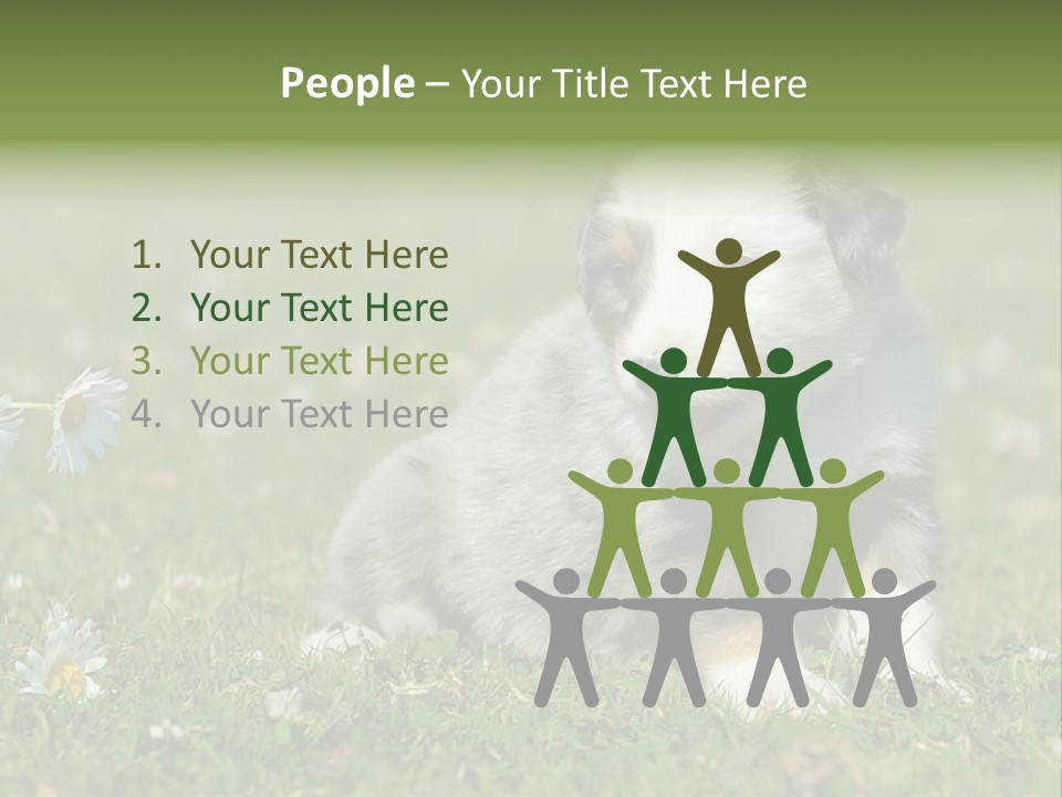 Hunde Hundewelpe Niedlich PowerPoint Template