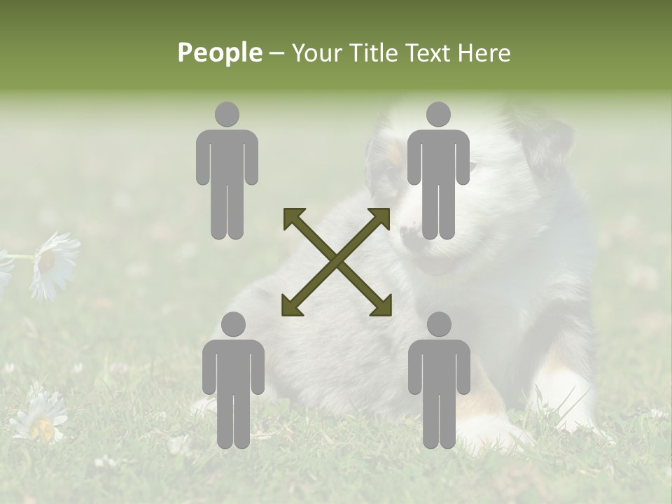 Hunde Hundewelpe Niedlich PowerPoint Template