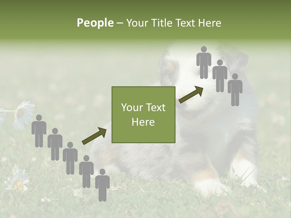 Hunde Hundewelpe Niedlich PowerPoint Template
