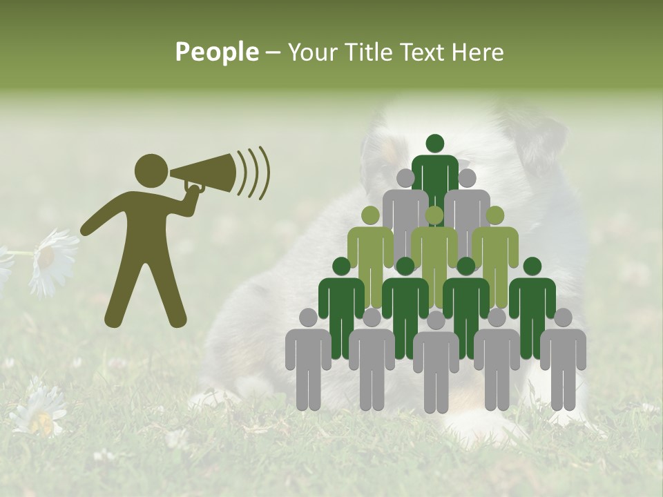 Hunde Hundewelpe Niedlich PowerPoint Template