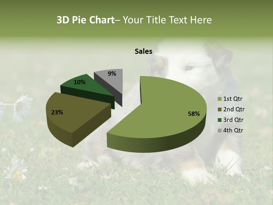 Hunde Hundewelpe Niedlich PowerPoint Template