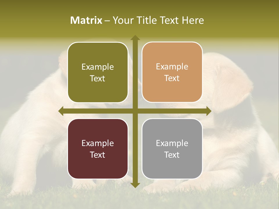 Junges Zwei Tierfreundschaft PowerPoint Template