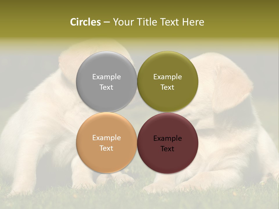 Junges Zwei Tierfreundschaft PowerPoint Template