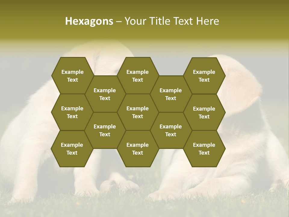 Junges Zwei Tierfreundschaft PowerPoint Template