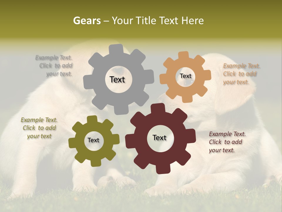 Junges Zwei Tierfreundschaft PowerPoint Template