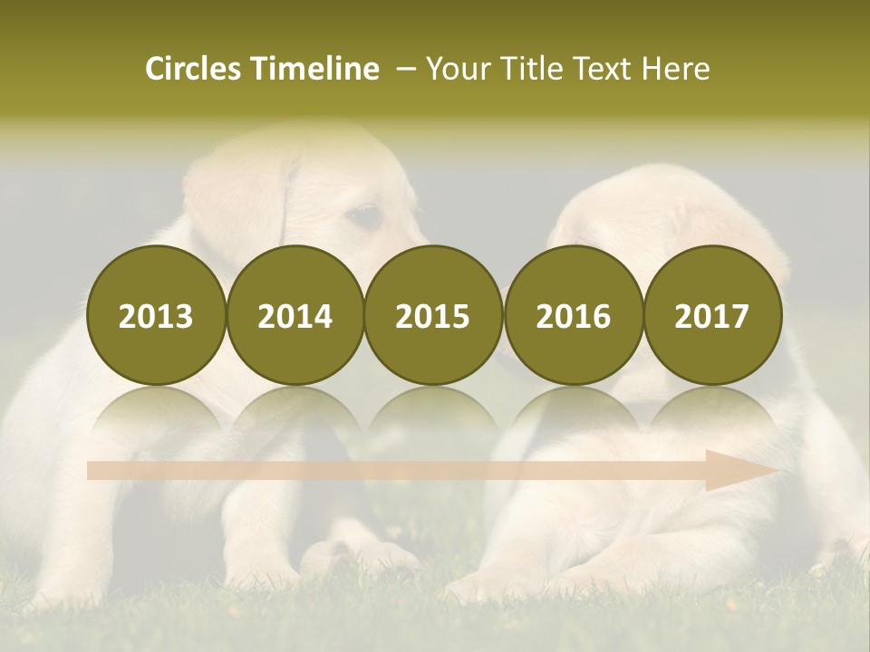 Junges Zwei Tierfreundschaft PowerPoint Template