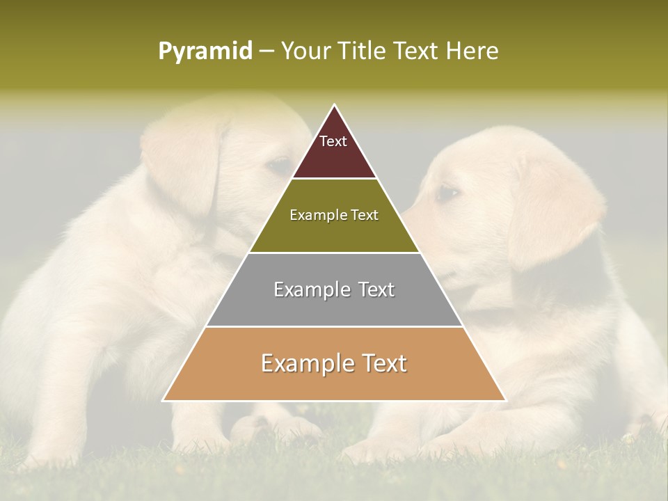 Junges Zwei Tierfreundschaft PowerPoint Template