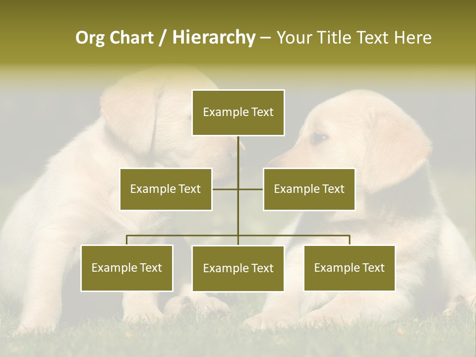 Junges Zwei Tierfreundschaft PowerPoint Template