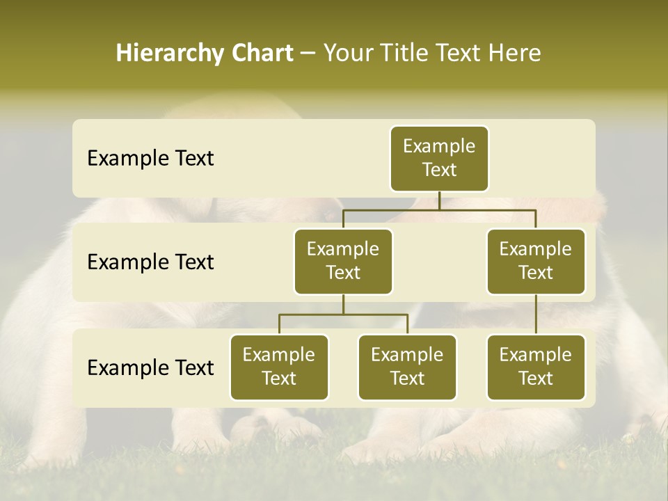 Junges Zwei Tierfreundschaft PowerPoint Template