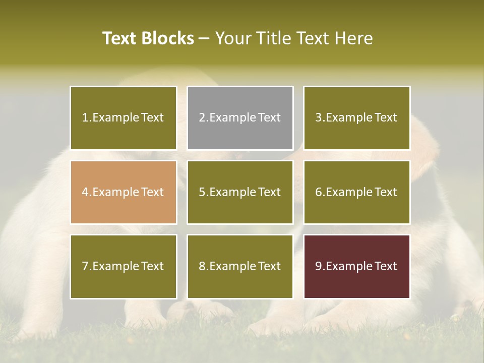 Junges Zwei Tierfreundschaft PowerPoint Template