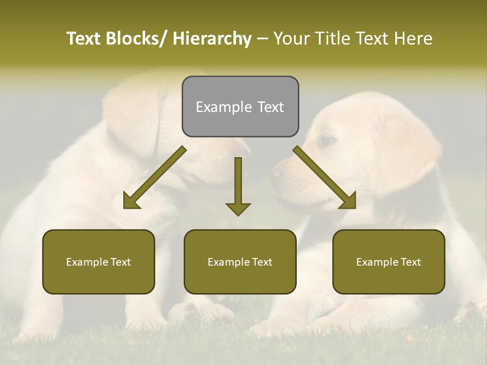 Junges Zwei Tierfreundschaft PowerPoint Template