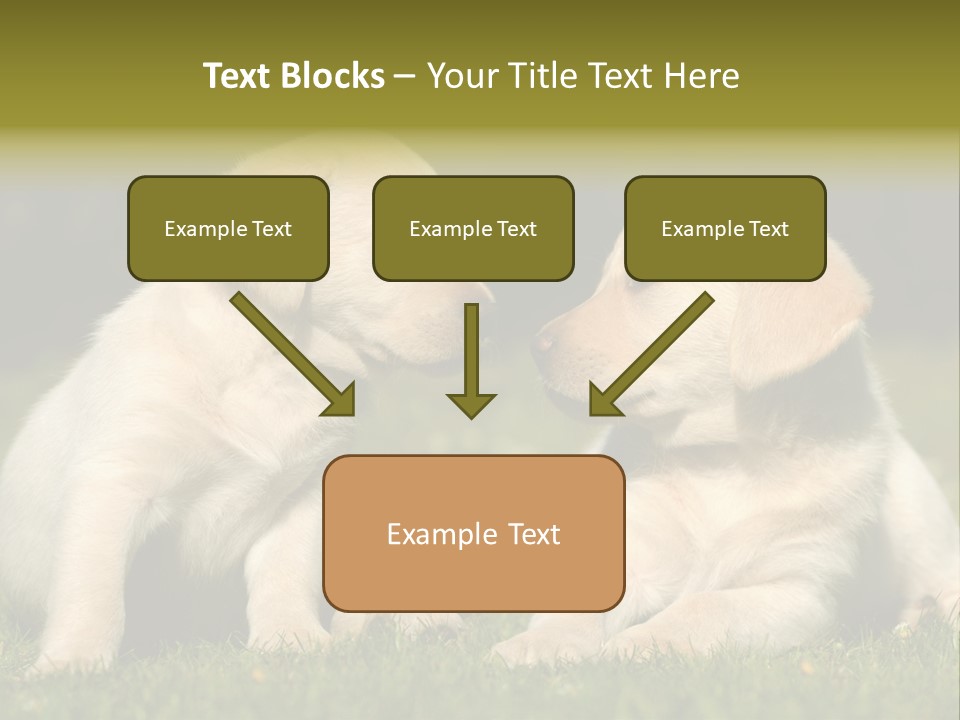 Junges Zwei Tierfreundschaft PowerPoint Template