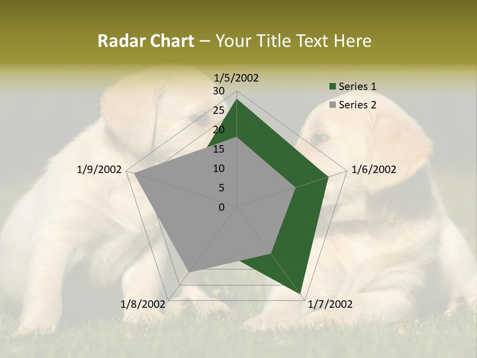 Junges Zwei Tierfreundschaft PowerPoint Template