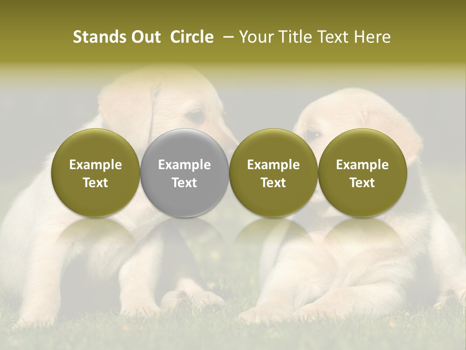 Junges Zwei Tierfreundschaft PowerPoint Template