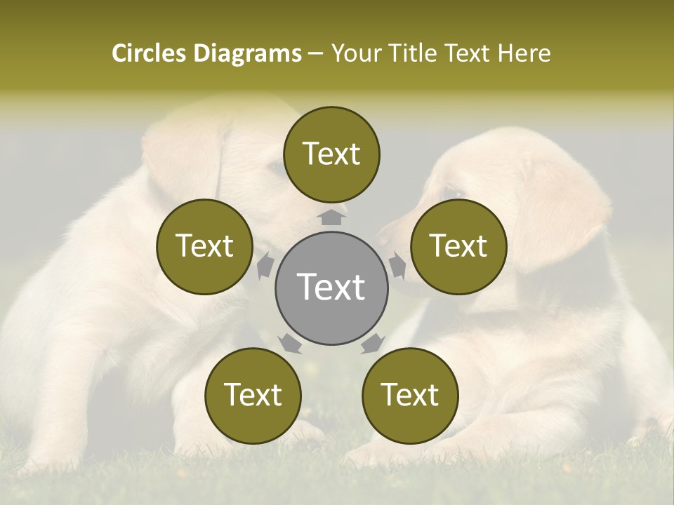 Junges Zwei Tierfreundschaft PowerPoint Template