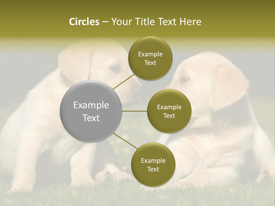 Junges Zwei Tierfreundschaft PowerPoint Template