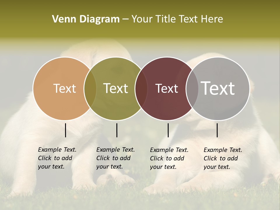 Junges Zwei Tierfreundschaft PowerPoint Template