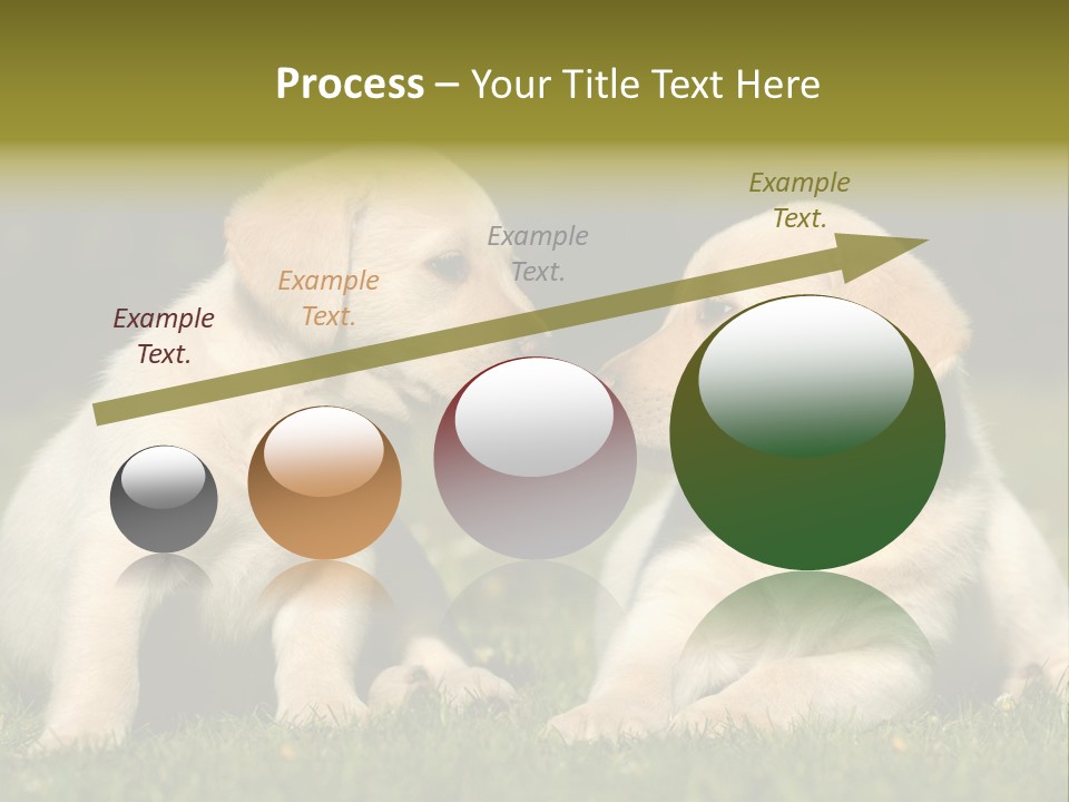 Junges Zwei Tierfreundschaft PowerPoint Template