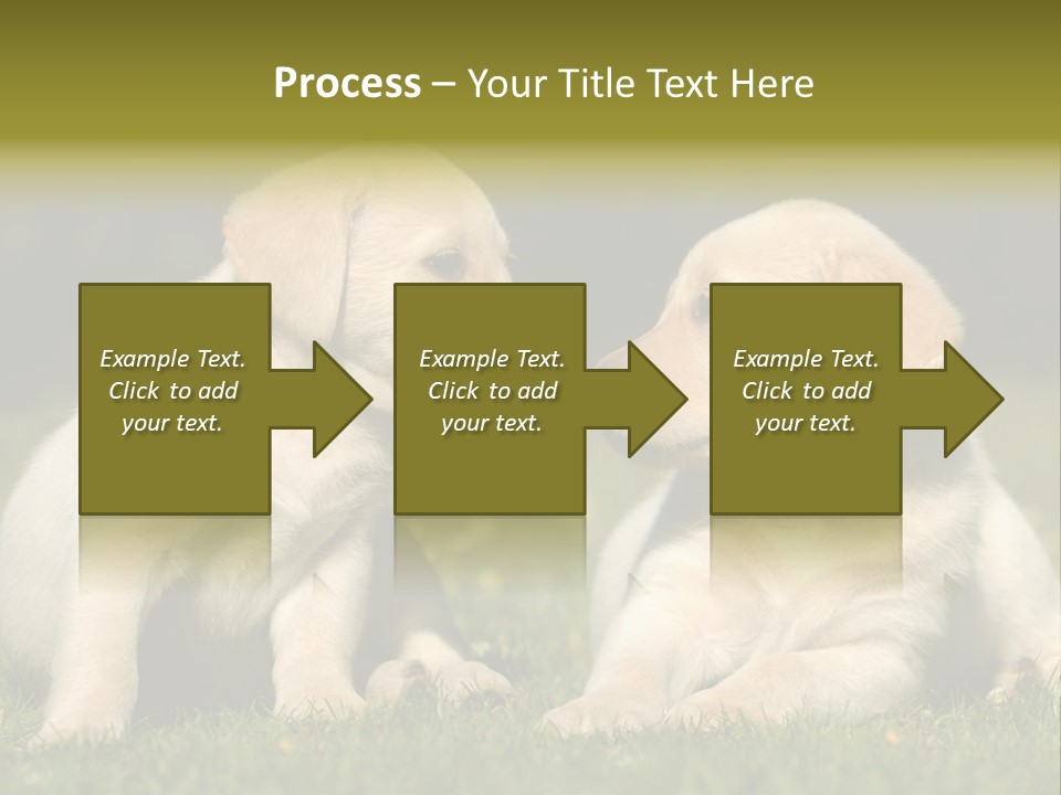 Junges Zwei Tierfreundschaft PowerPoint Template