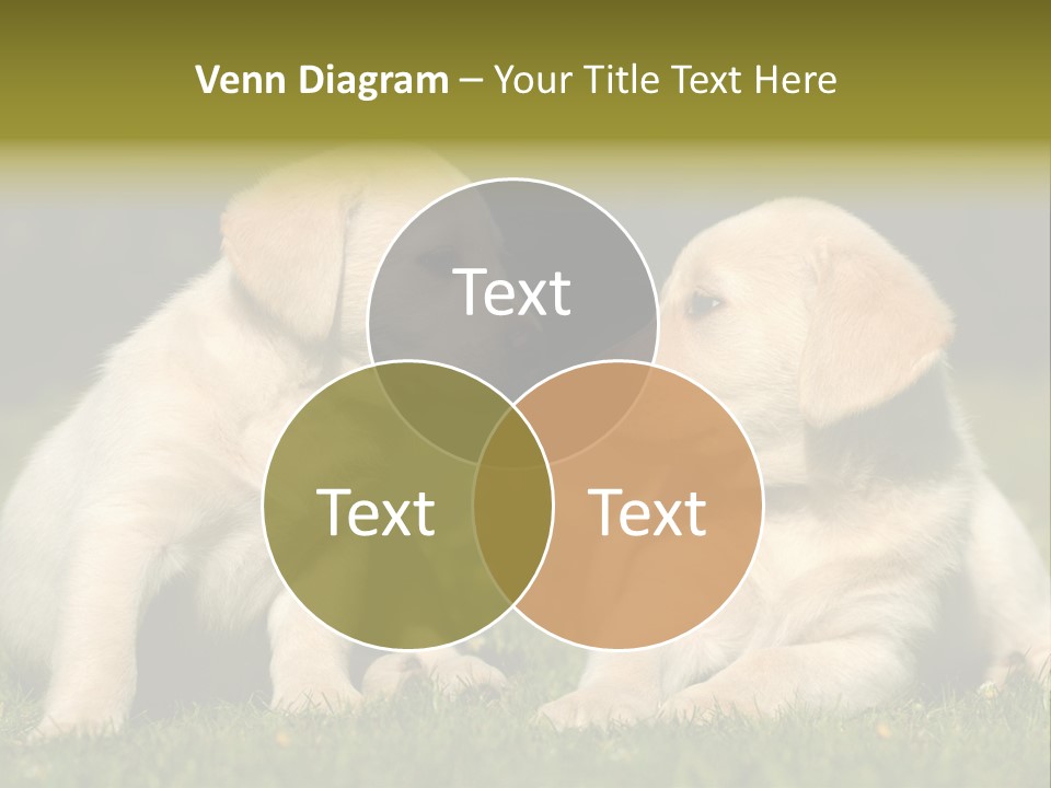 Junges Zwei Tierfreundschaft PowerPoint Template