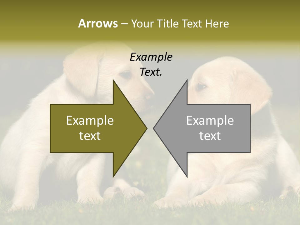 Junges Zwei Tierfreundschaft PowerPoint Template